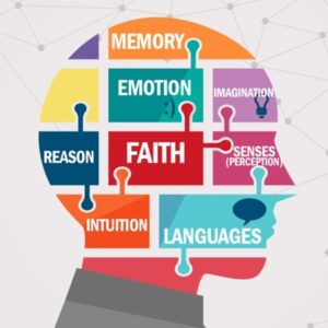 IB TOK - Essay Writing Course